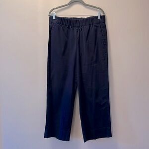 J Crew Navy Cotton Pull-up Ankle Pants in LP.